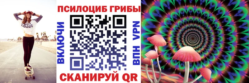 Галлюциногенные грибы мухоморы  закладки  Барыш 